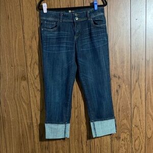 Kut from the Kloth Blue Ankle Cropped Jeans